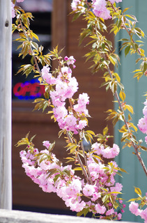 IMGP0070.jpg